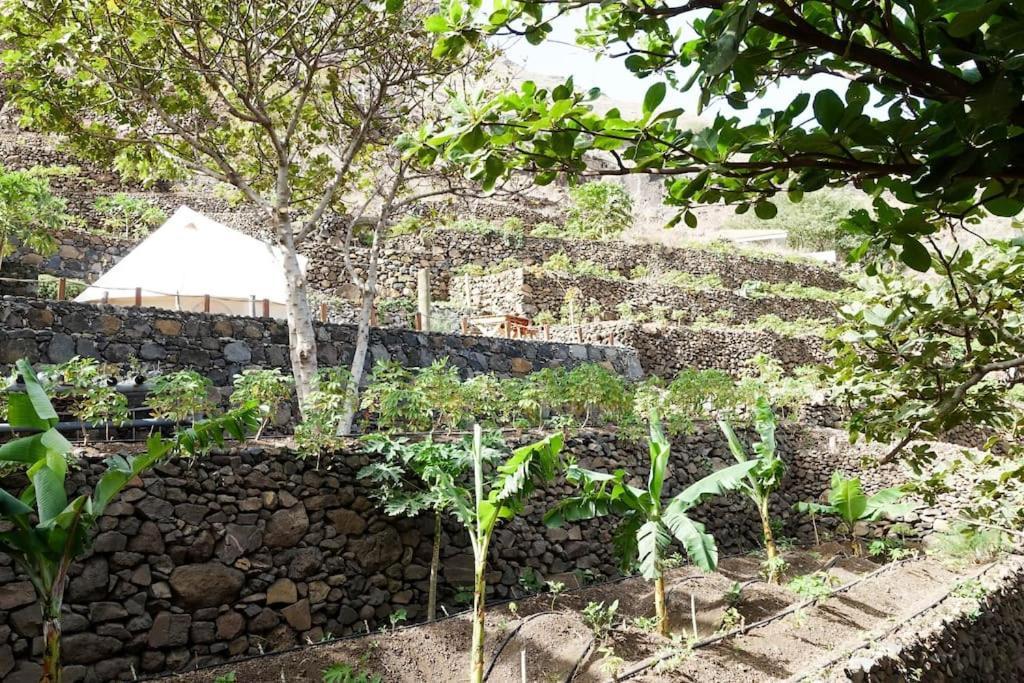 Ecolodge Kasa D'Igreja Cha da Igreja Luaran gambar