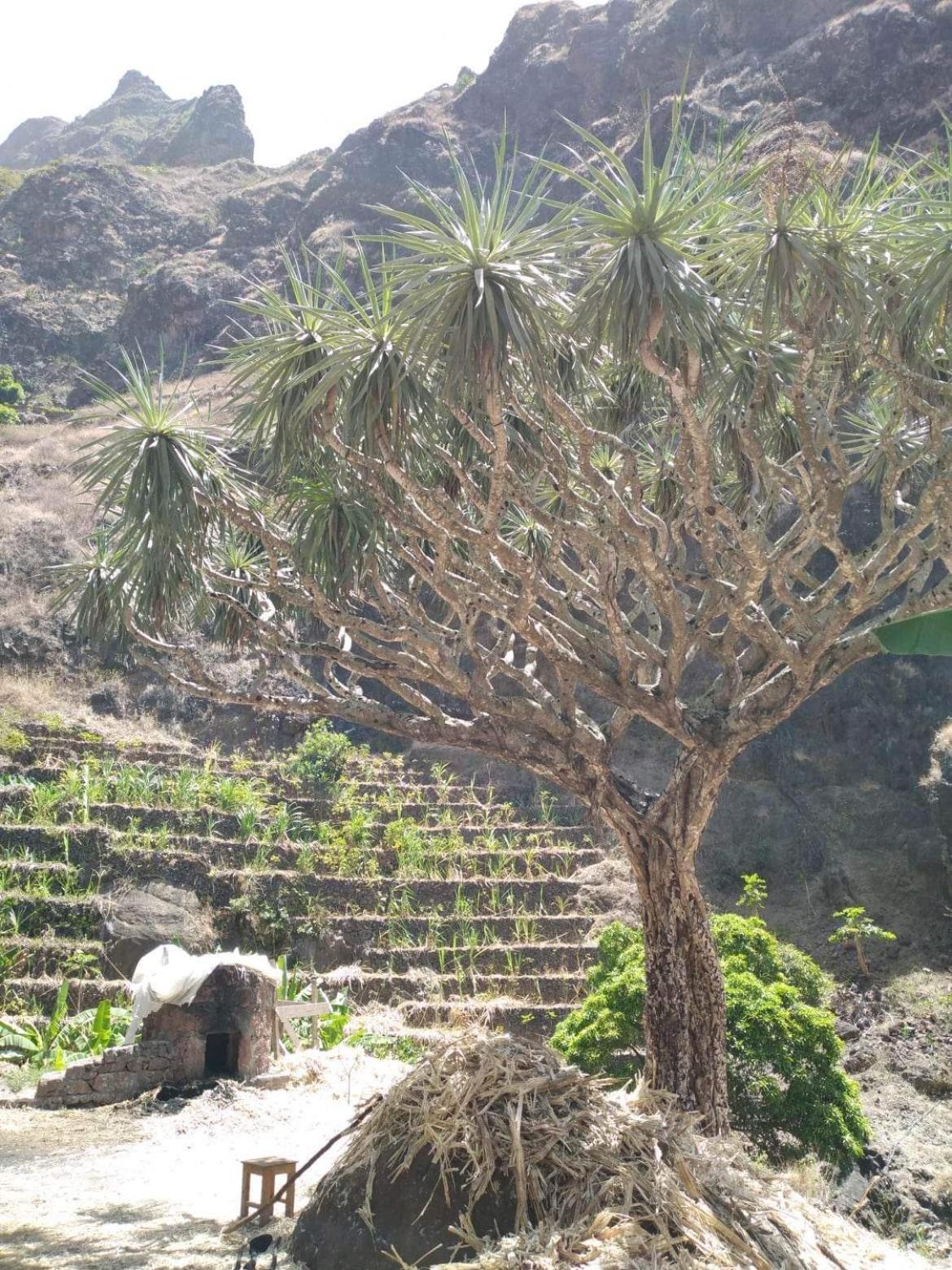 Ecolodge Kasa D'Igreja Cha da Igreja Luaran gambar